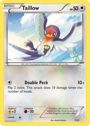 Taillow — XY trainer Kit (Pikachu Libre) 7