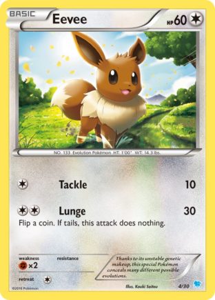 Eevee — XY trainer Kit (Suicune) 4