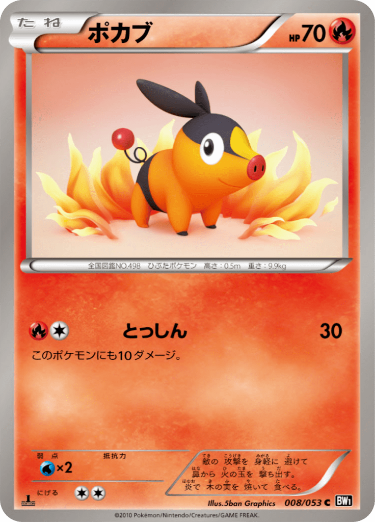 #8 — Black Collection 008