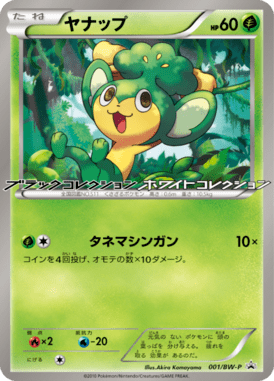 #1 — Black & White Promotional Cards 001
