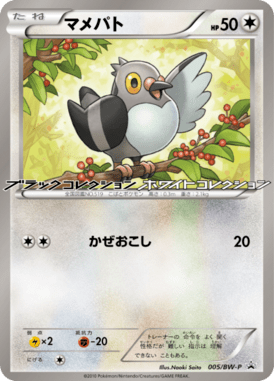 #5 — Black & White Promotional Cards 005