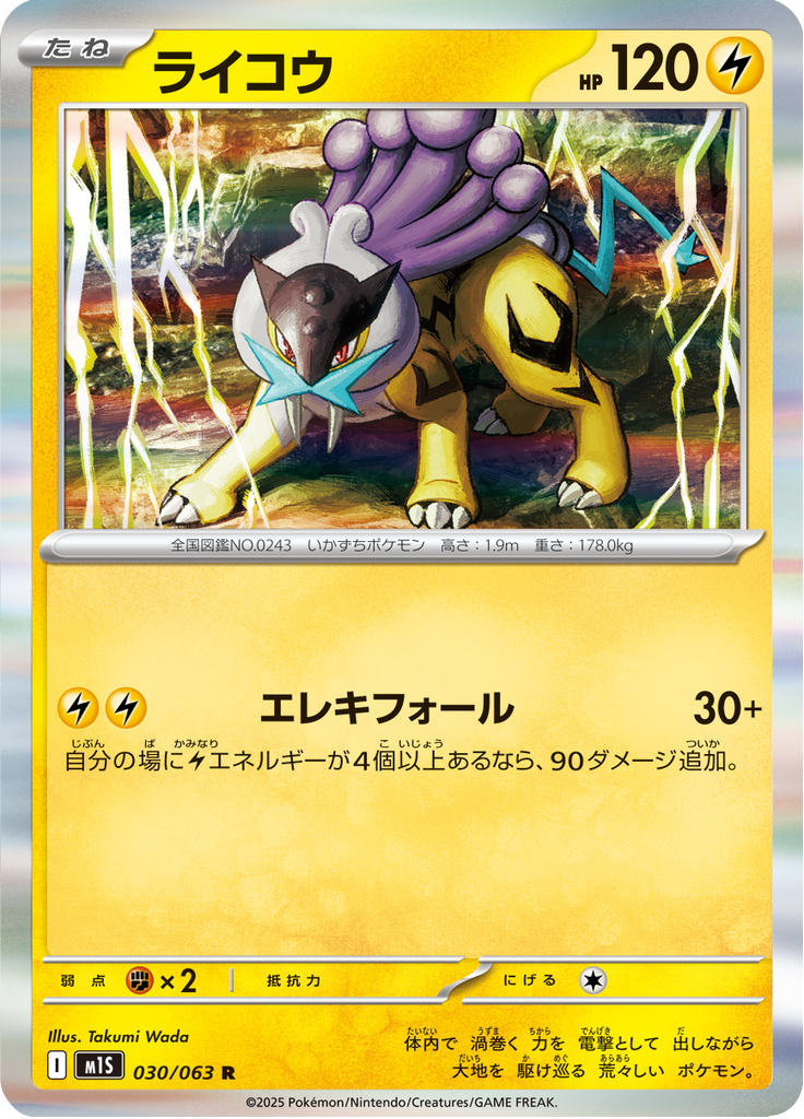 Raikou — Mega Symphonia 030