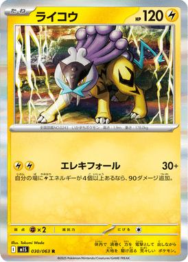 Raikou — Mega Symphonia 030
