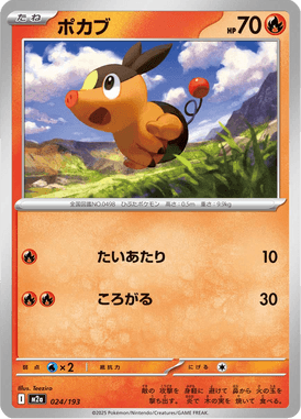 Tepig — Mega Dream ex 024