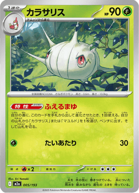 Silcoon — Mega Dream ex 005