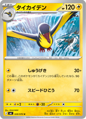Kilowattrel — Storm Emeralda 028