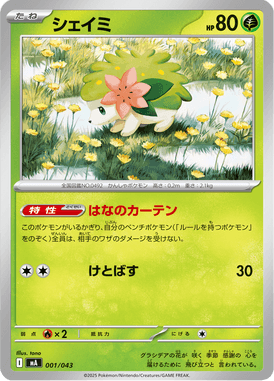 Shaymin — Premium Trainer Box MEGA 001