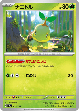 Turtwig — Starter Decks 100 Battle Collection 034