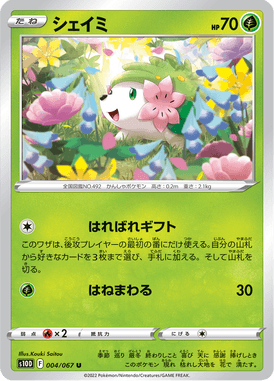 Shaymin — Time Gazer 004
