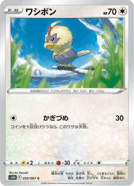 Rufflet — Time Gazer 055
