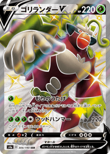 #304 - Shiny Star V
