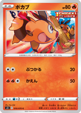 Tepig — Single Strike Master 010