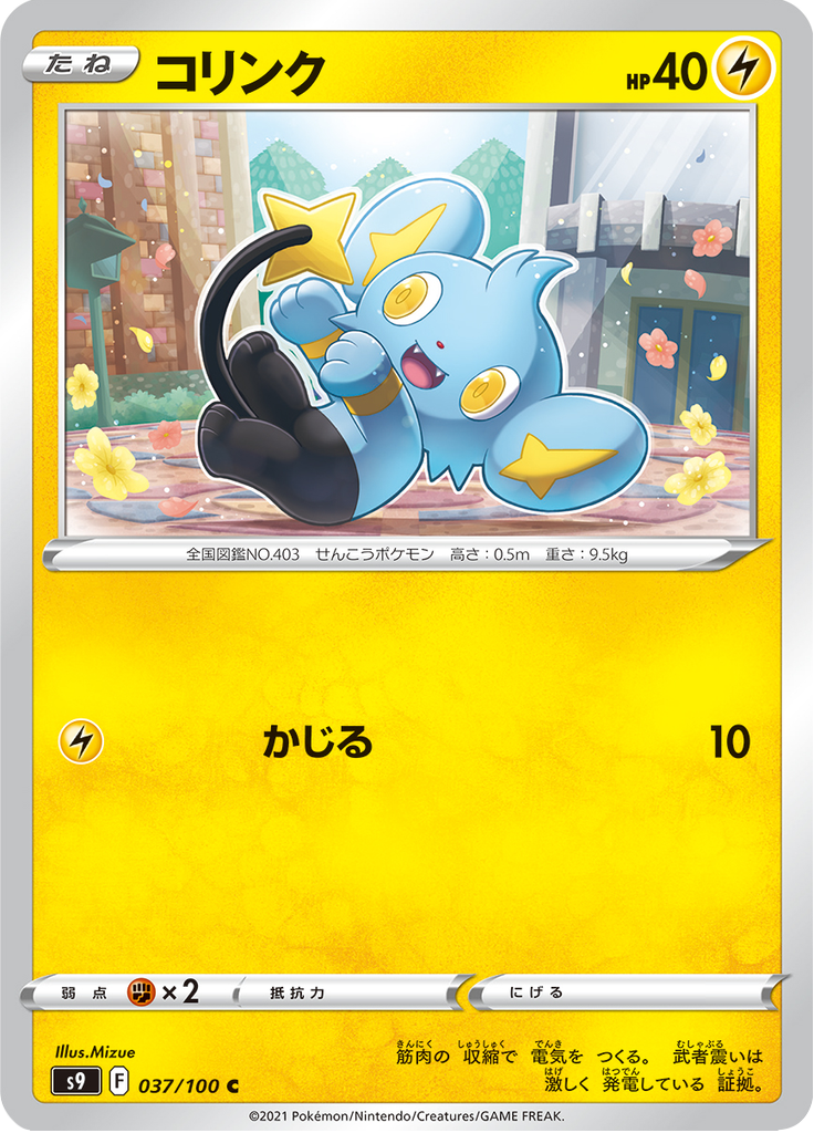 Shinx — Star Birth 037