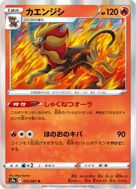 Pyroar — Battle Region 016