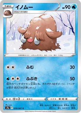Piloswine — Battle Region 019