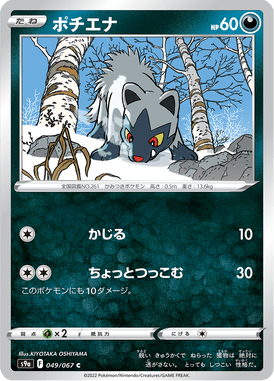 Poochyena — Battle Region 049