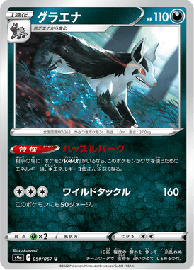 Mightyena — Battle Region 050