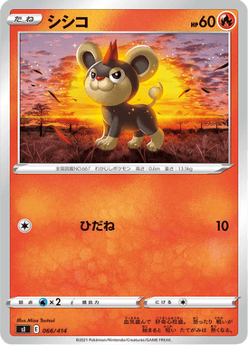 Litleo — Starter Decks 100 066