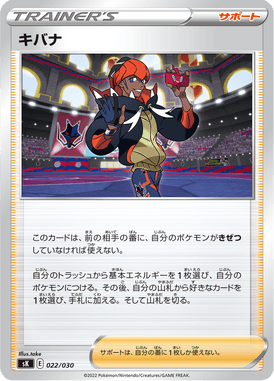 Raihan — VSTAR Premium Trainer Box 022