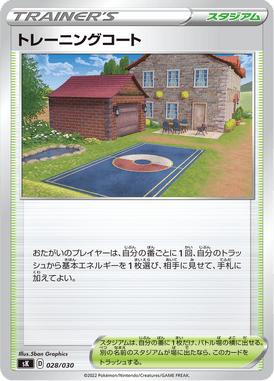 Training Court — VSTAR Premium Trainer Box 028