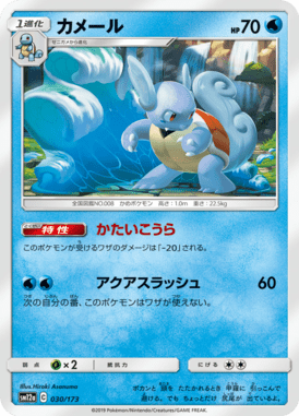 Wartortle — Tag All Stars 030