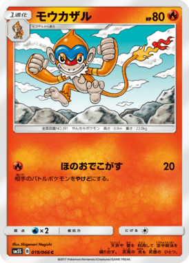 #19 — Ultra Sun 019