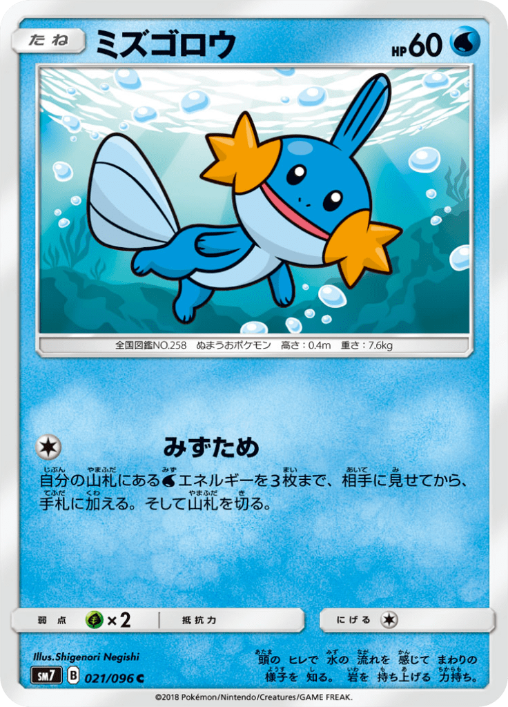 Mudkip — Charisma of the Ripped Sky 021