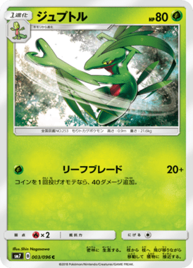Grovyle — Charisma of the Ripped Sky 003