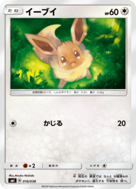 Eevee — Starter Sets Flareon & Jolteon & Vaporeon 016
