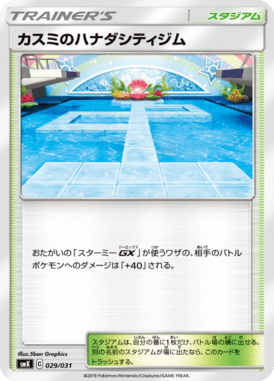 Misty's Cerulean City Gym — Brock & Misty Trainer Battle Decks 029