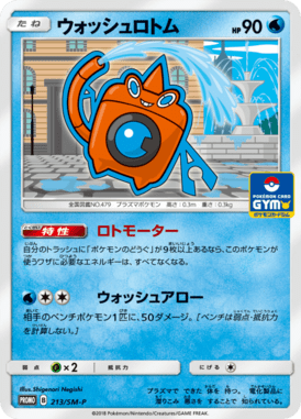 #213 — Sun and Moon Promotional Cards 213