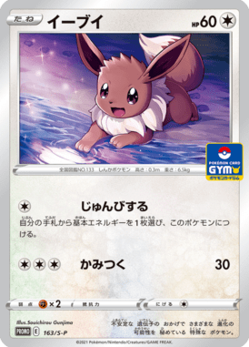 Eevee — Sword & Shield Promotional Cards 163