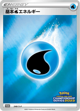 #248 — Sword & Shield Promotional Cards 248