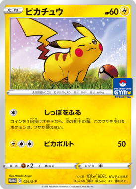 Pikachu — Sword & Shield Promotional Cards 024