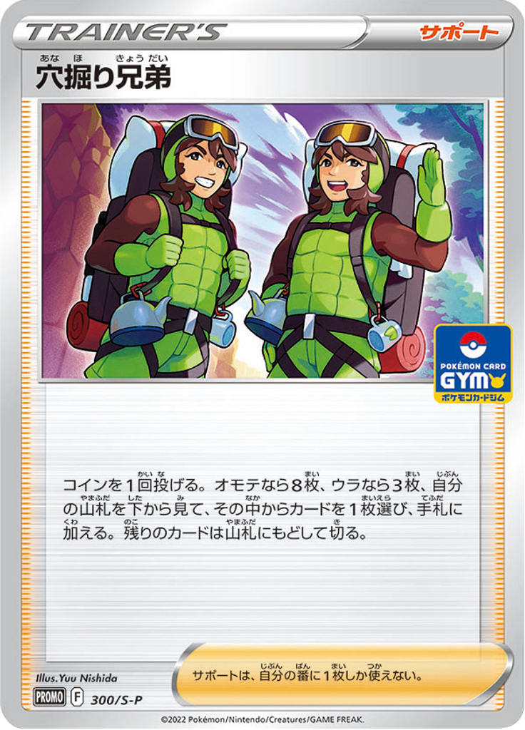 Dupla de Escavação — Sword & Shield Promotional Cards 300