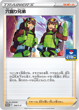 Dupla de Escavação — Sword & Shield Promotional Cards 300