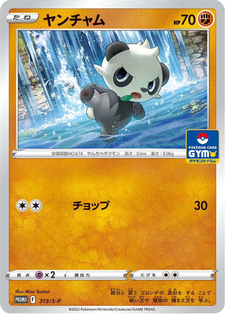 Pancham — Sword & Shield Promotional Cards 313