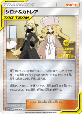 Cíntia e Caitlin — Sword & Shield Promotional Cards 088