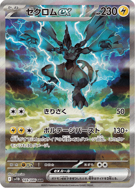 Zekrom ex — Black Bolt 169