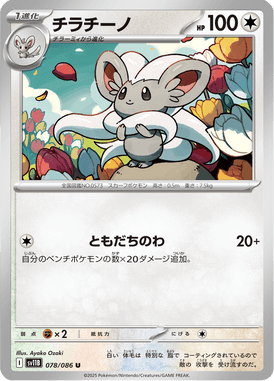 Cinccino — Black Bolt 078
