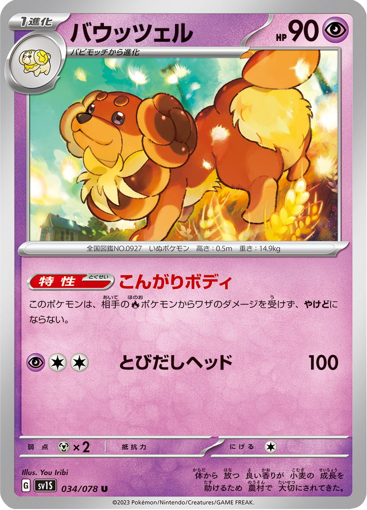 Dachsbun — Scarlet ex 034