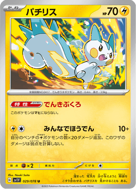 Pachirisu — Violet ex 029