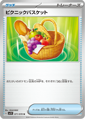 Picnic Basket — Violet ex 071
