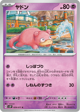Slowpoke — Snow Hazard 029