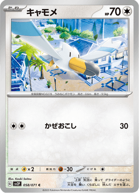 Wingull — Snow Hazard 058