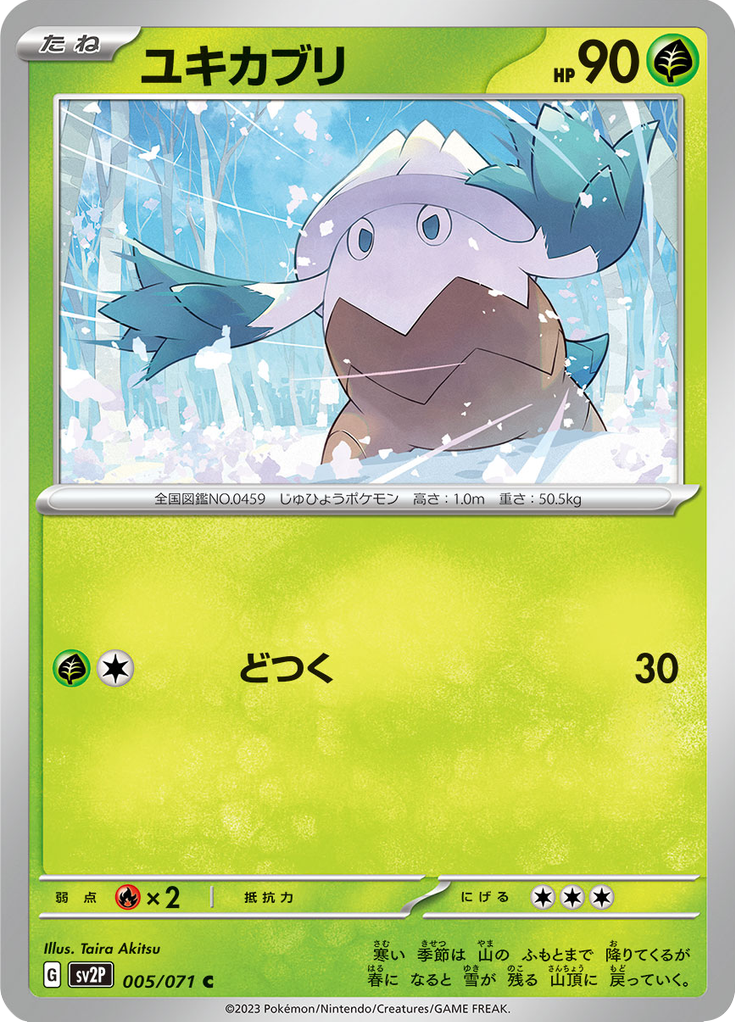 Snover — Snow Hazard 005