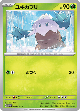 Snover — Snow Hazard 005