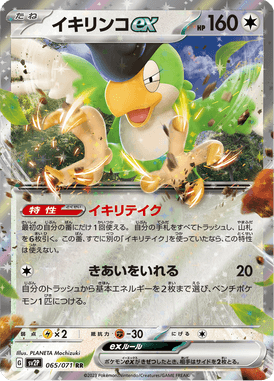 Squawkabilly ex — Snow Hazard 065