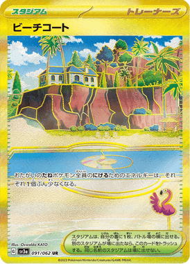 Beach Court — Raging Surf 091
