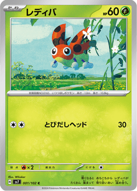 Ledyba — Stellar Miracle 001